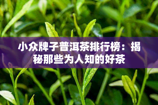 小众牌子普洱茶排行榜：揭秘那些为人知的好茶