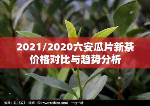 2021/2020六安瓜片新茶价格对比与趋势分析