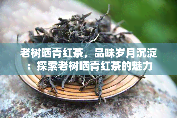 老树晒青红茶，品味岁月沉淀：探索老树晒青红茶的魅力