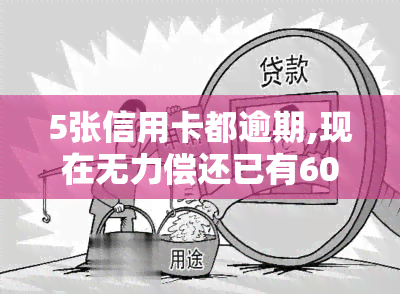 5张信用卡都逾期,现在无力偿还已有60万，透支5张信用卡，现欠60万无法偿还