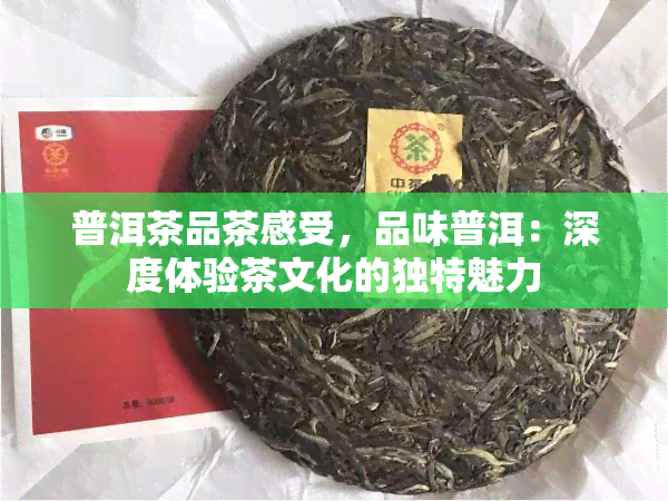 普洱茶品茶感受，品味普洱：深度体验茶文化的独特魅力