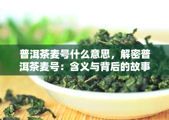 普洱茶麦号什么意思，解密普洱茶麦号：含义与背后的故事