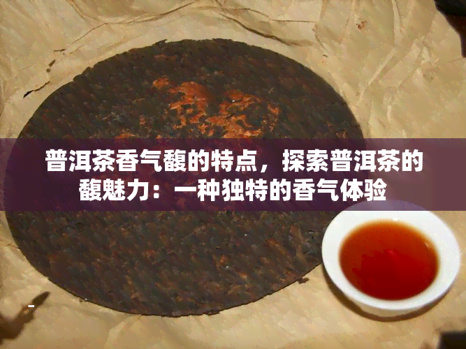 普洱茶香气馥的特点，探索普洱茶的馥魅力：一种独特的香气体验