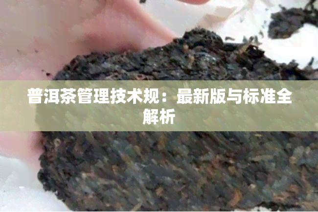 普洱茶管理技术规：最新版与标准全解析