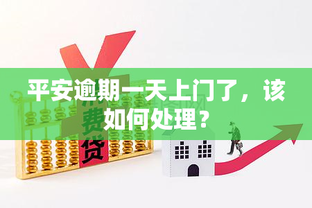 平安逾期一天上门了，该如何处理？