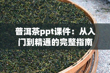 普洱茶ppt课件：从入门到精通的完整指南