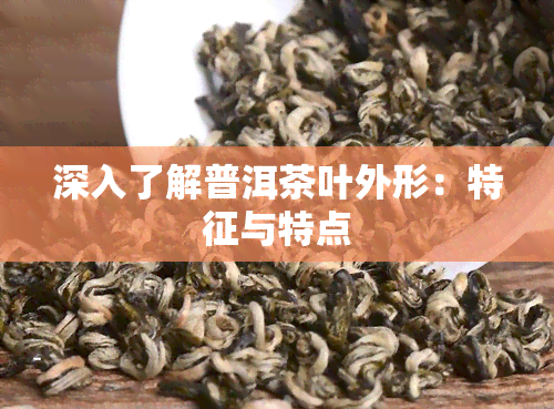 深入了解普洱茶叶外形：特征与特点