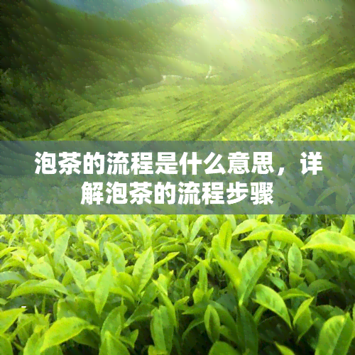 泡茶的流程是什么意思，详解泡茶的流程步骤