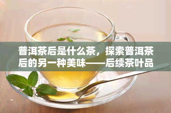 普洱茶后是什么茶，探索普洱茶后的另一种美味——后续茶叶品种介绍