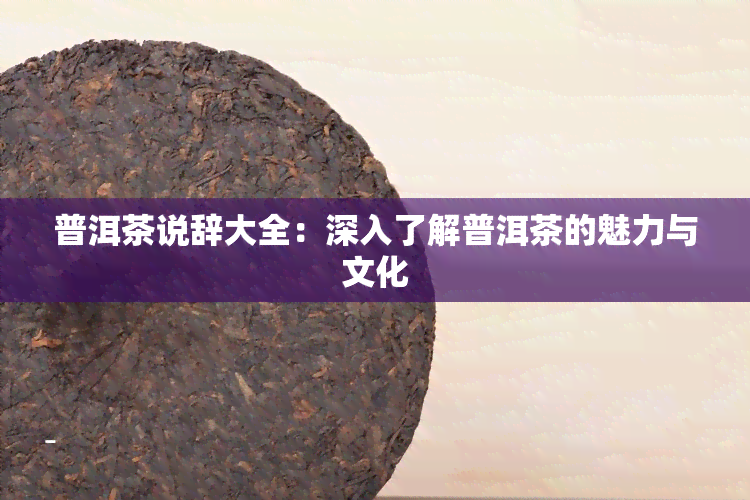 普洱茶说辞大全：深入了解普洱茶的魅力与文化