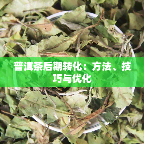 普洱茶后期转化：方法、技巧与优化