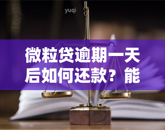 微粒贷逾期一天后如何还款？能否成功还清？