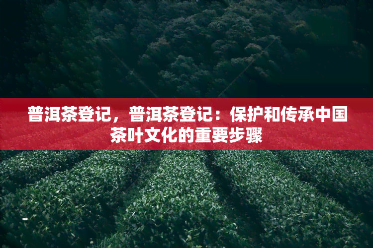 普洱茶登记，普洱茶登记：保护和传承中国茶叶文化的重要步骤