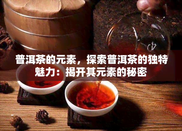 普洱茶的元素，探索普洱茶的独特魅力：揭开其元素的秘密