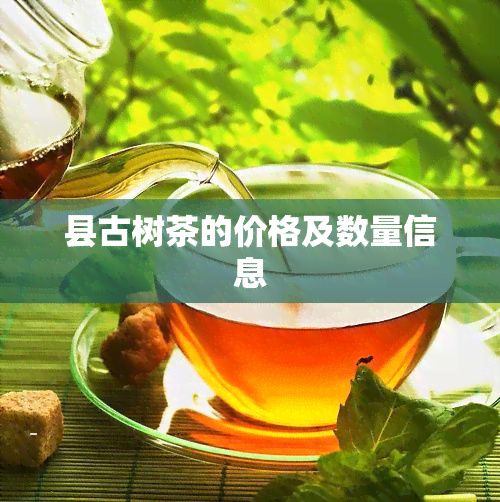 县古树茶的价格及数量信息