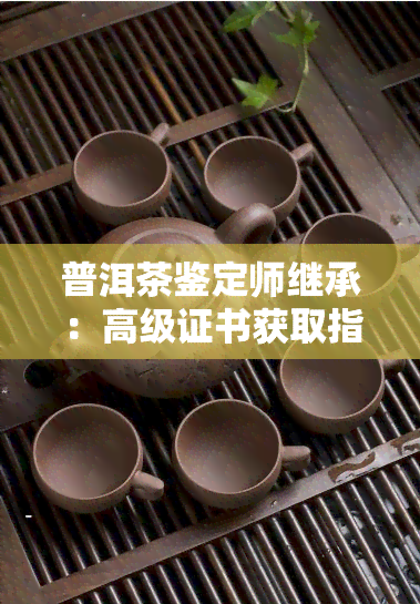 普洱茶鉴定师继承：高级证书获取指南