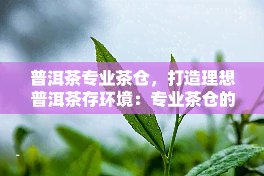 普洱茶专业茶仓，打造理想普洱茶存环境：专业茶仓的必备条件