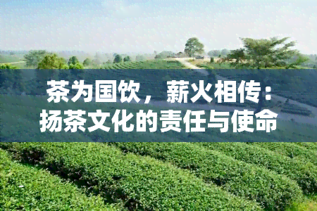 茶为国饮，薪火相传：扬茶文化的责任与使命