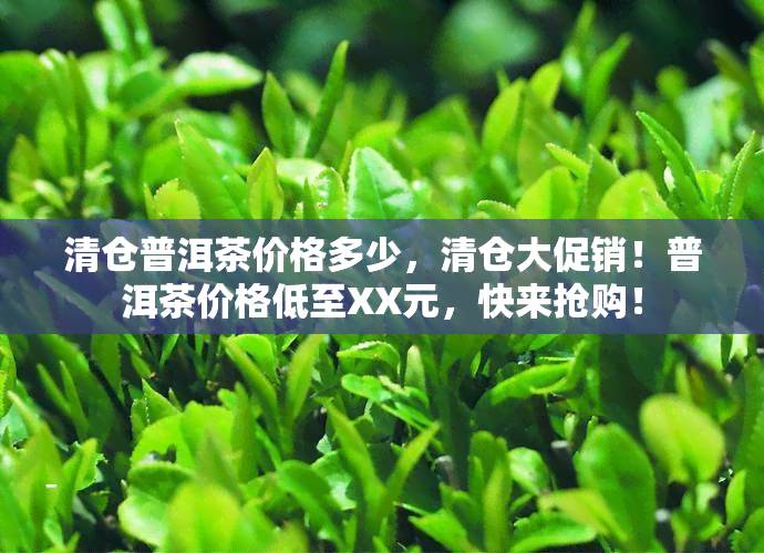 清仓普洱茶价格多少，清仓大促销！普洱茶价格低至XX元，快来抢购！