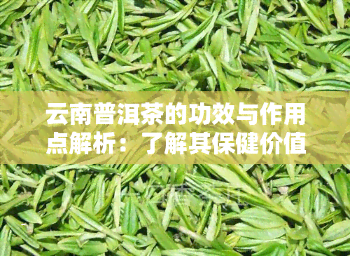 云南普洱茶的功效与作用点解析：了解其保健价值与饮用方法