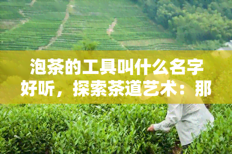 泡茶的工具叫什么名字好听，探索茶道艺术：那些优雅又实用的泡茶工具