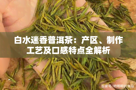 白水迷香普洱茶：产区、制作工艺及口感特点全解析