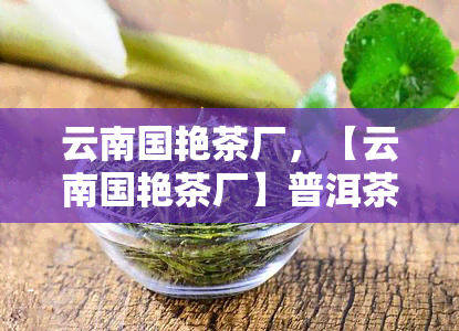 云南国艳茶厂，【云南国艳茶厂】普洱茶熟茶经典7542生茶礼盒装七子饼茶礼品茶叶送人复古包装新年春节中秋节礼物复古包装茶叶