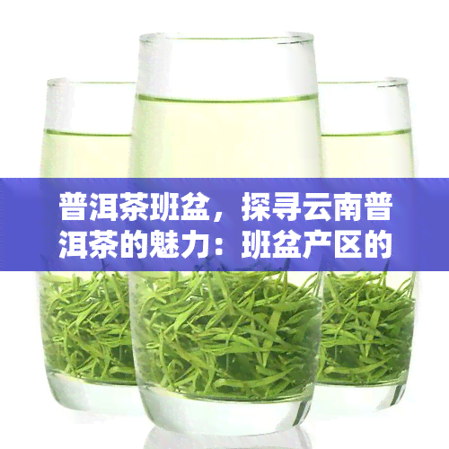 普洱茶班盆，探寻云南普洱茶的魅力：班盆产区的独特韵味