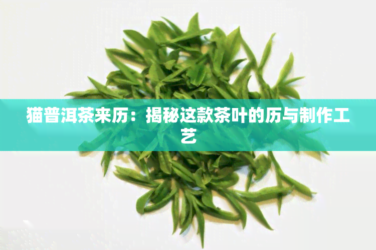 猫普洱茶来历：揭秘这款茶叶的历与制作工艺