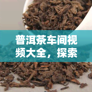 普洱茶车间视频大全，探索普洱茶制作全过程：车间视频大公开！