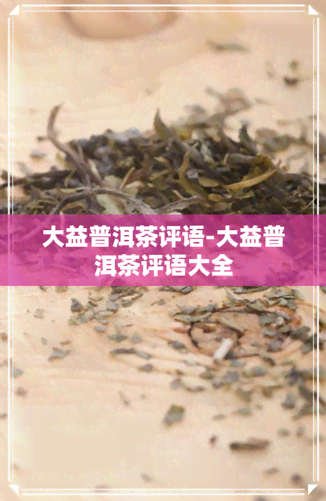 大益普洱茶评语-大益普洱茶评语大全