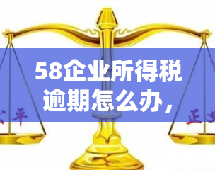 58企业所得税逾期怎么办，如何处理58企业所得税逾期问题？