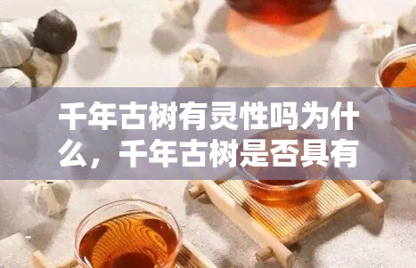 千年古树有灵性吗为什么，千年古树是否具有灵性？探讨其原因