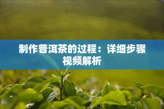 制作普洱茶的过程：详细步骤视频解析