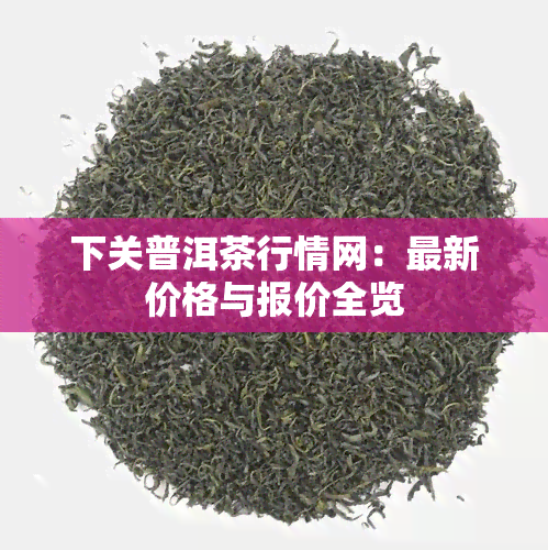 下关普洱茶行情网：最新价格与报价全览