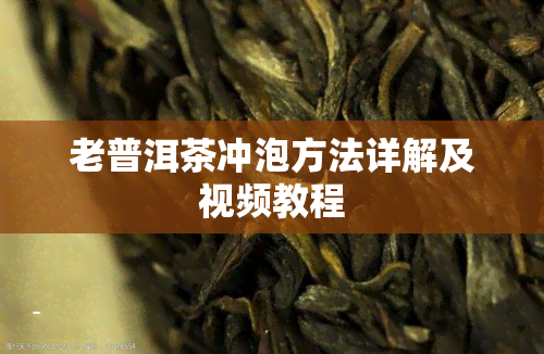 老普洱茶冲泡方法详解及视频教程