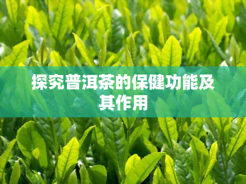 探究普洱茶的保健功能及其作用