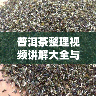 普洱茶整理视频讲解大全与教程