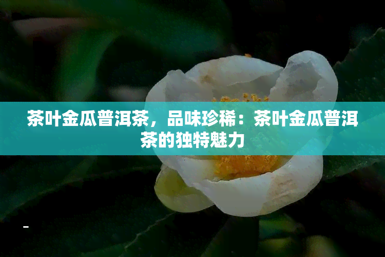 茶叶金瓜普洱茶，品味珍稀：茶叶金瓜普洱茶的独特魅力