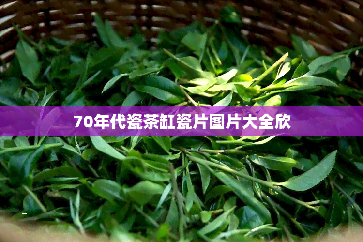 70年代瓷茶缸瓷片图片大全欣