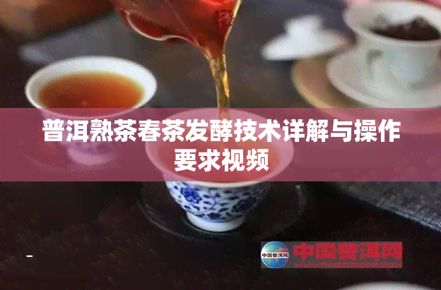 普洱熟茶春茶发酵技术详解与操作要求视频