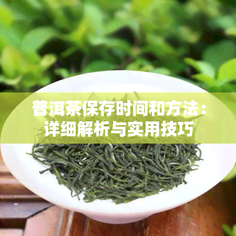 普洱茶保存时间和方法：详细解析与实用技巧