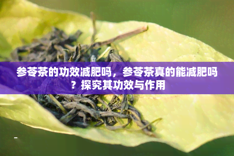 参苓茶的功效减肥吗，参苓茶真的能减肥吗？探究其功效与作用