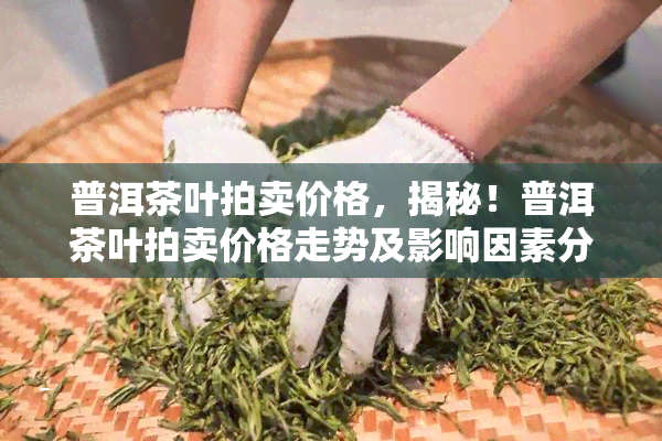 普洱茶叶拍卖价格，揭秘！普洱茶叶拍卖价格走势及影响因素分析