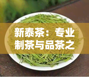 新泰茶：专业制茶与品茶之地