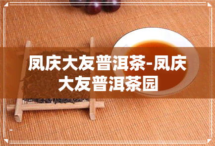 凤庆大友普洱茶-凤庆大友普洱茶园