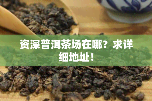 资深普洱茶场在哪？求详细地址！