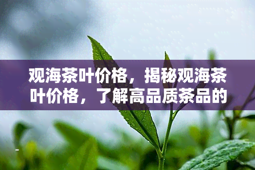 观海茶叶价格，揭秘观海茶叶价格，了解高品质茶品的市场价值