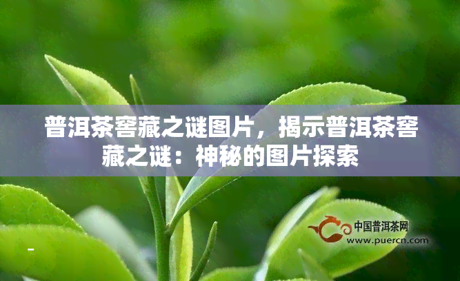 普洱茶窖藏之谜图片，揭示普洱茶窖藏之谜：神秘的图片探索