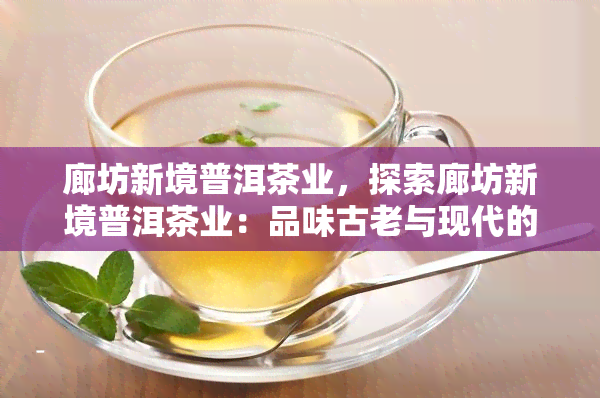 廊坊新境普洱茶业，探索廊坊新境普洱茶业：品味古老与现代的完美融合